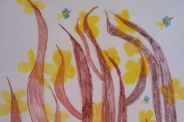 Tvoríme v domácom prostredí pod vedením J. Khouri