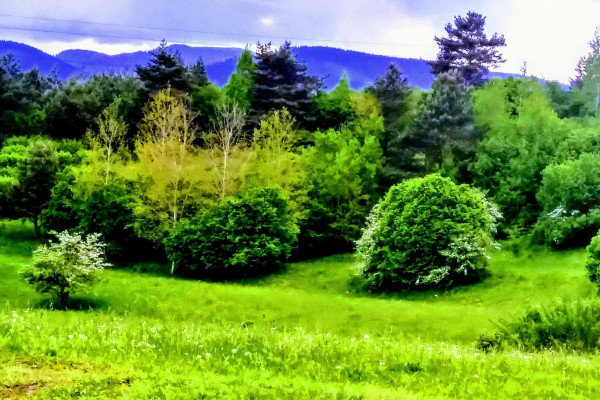 Tvoríme v domácom prostredí pod vedením J. Khouri