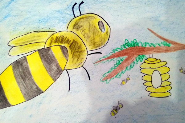 Tvoríme v domácom prostredí pod vedením J. Khouri