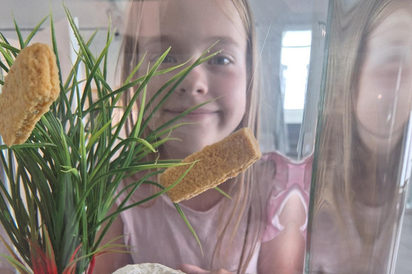 Tatranská galéria v Poprade 