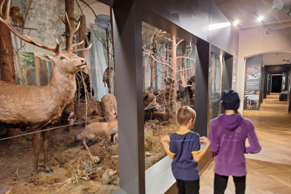 Slovenské múzeum ochrany prírody a jaskyniarstva