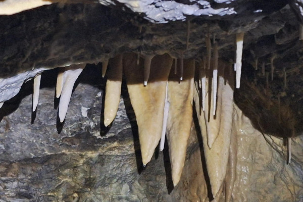 Malužianska jaskyňa