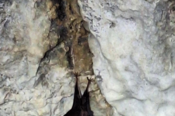 Malužianska jaskyňa