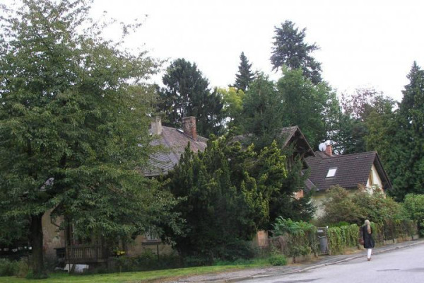 ,, J I Ř I N K O V É S L Á V N O S T I 