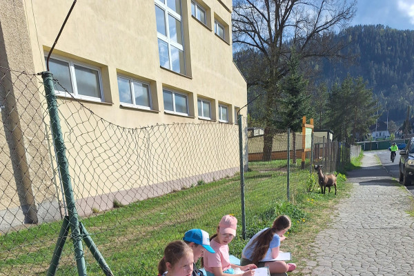 Prišiel cirkus