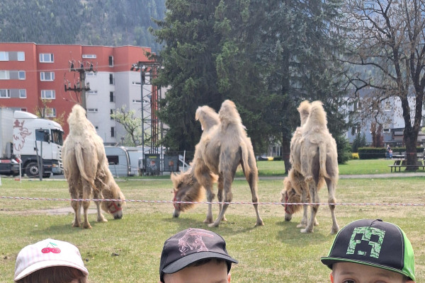 Prišiel cirkus