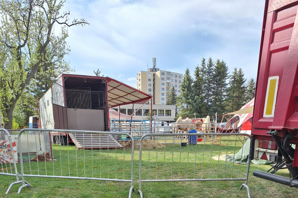 Prišiel cirkus