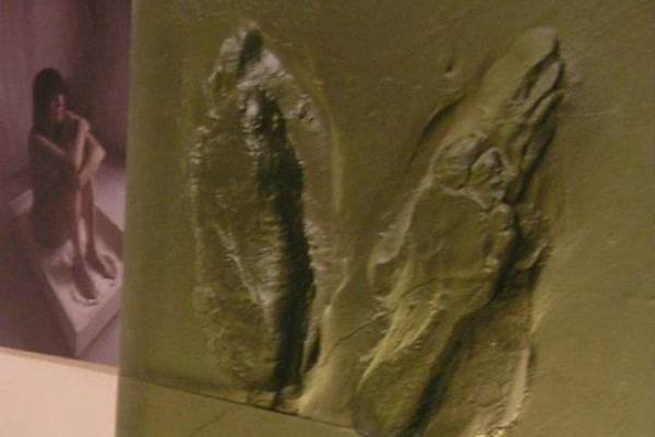 Cesta za umením do Galérie mesta Bratislavy