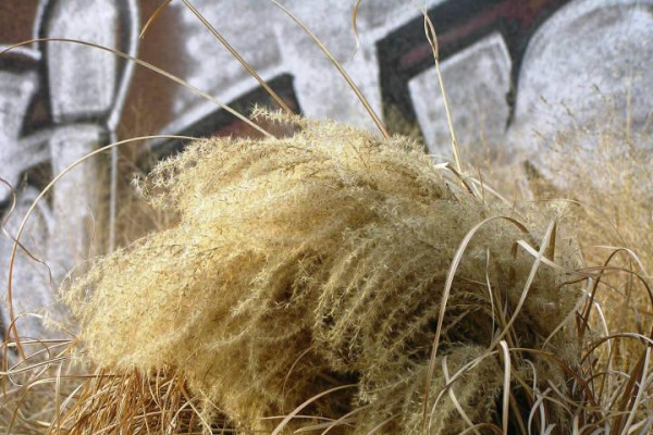 Metodický deň – 5. marca 2014 v meste Zlín