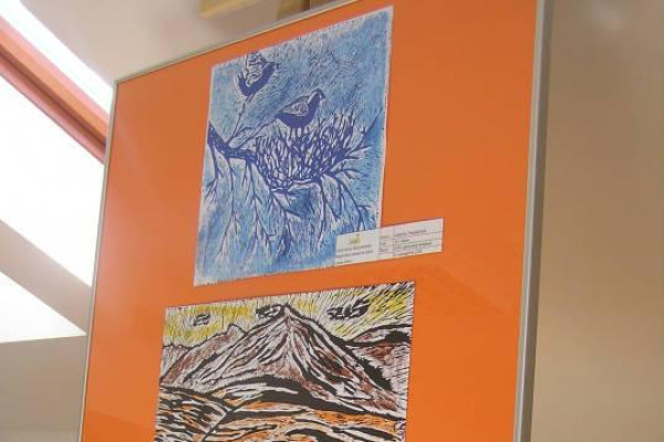 Čaro Liptova, Ružomberok 2014