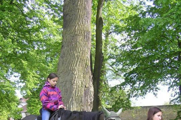 Kdo jsme Kto sme - IV. ročník