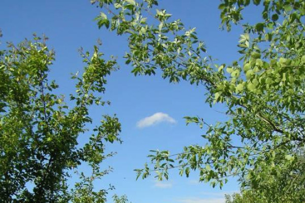 Kdo jsme Kto sme - IV. ročník