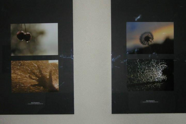 Absolventská výstava