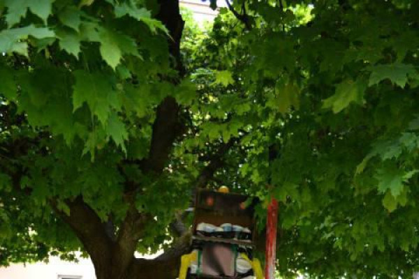 Leto v Zuške - II. časť